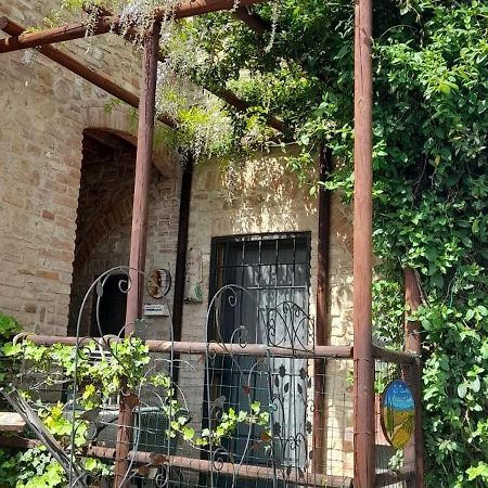 Apartamento La Casina Di Ancicucco 2 San Gimignano Exterior foto